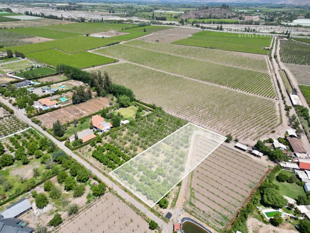 SAN FELIPE - VENDE TERRENO DE 5.000M2 - TOCORNAL