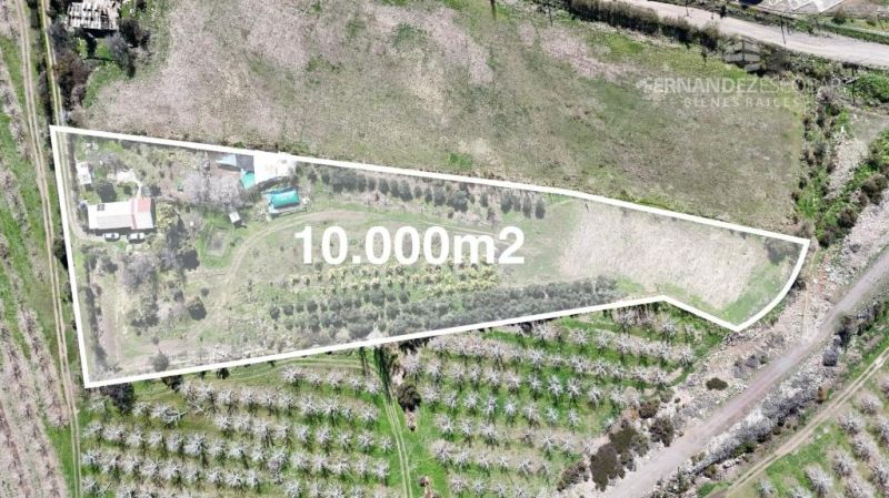 LOS ANDES - VENDE TERRENO 10.000m2 PUERTO TERRESTRE