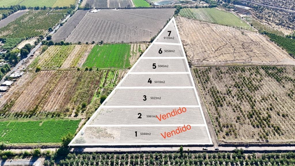 PUTAENDO - VENTA PARCELAS DESDE 5.000 M2 EN LOTEO PRIVADO - PIGUCHEN