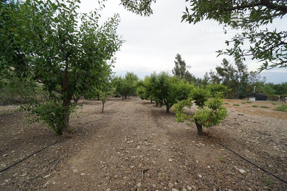 RINCONADA - VENTA TERRENO CON POZO DE AGUA