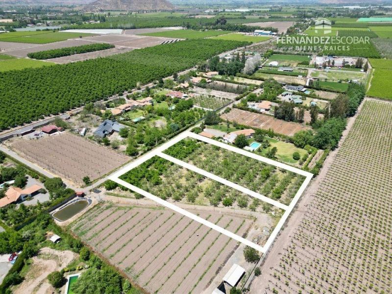 SAN FELIPE - VENDE TERRENOS DE 5.000M2 - TOCORNAL