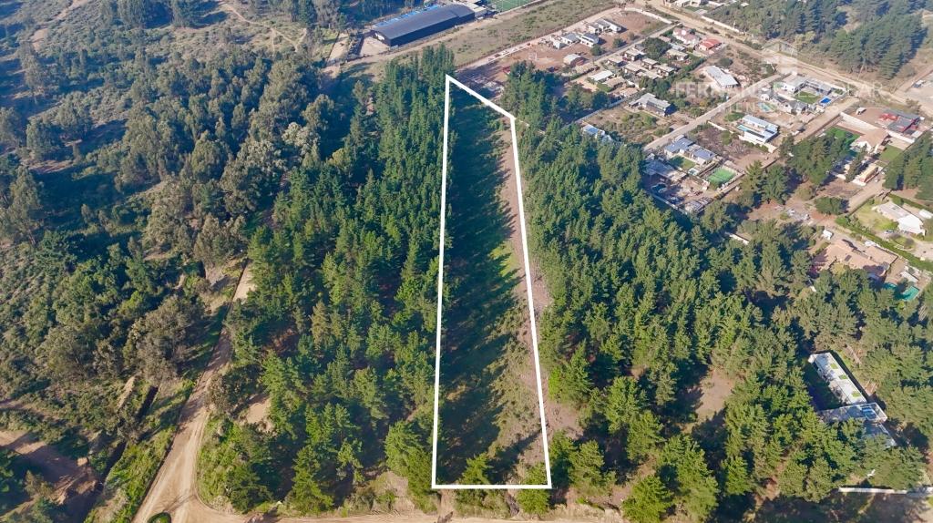 REÑACA - VENDE TERRENO DE 10.186m2 SECTOR LOS PINOS