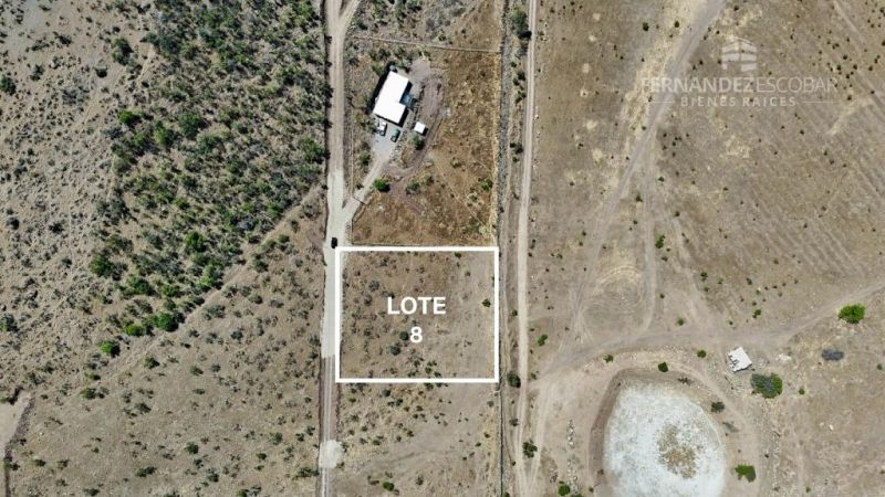 SAN ESTEBAN - VENTA TERRENO DE 5.000m2 SECTOR CAMPOS DE AHUMADA