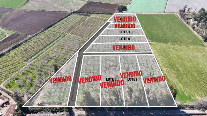 SAN FELIPE - VENDE LOTES DE 5.000m2 - CAMINO CASAS DE QUILPUE
