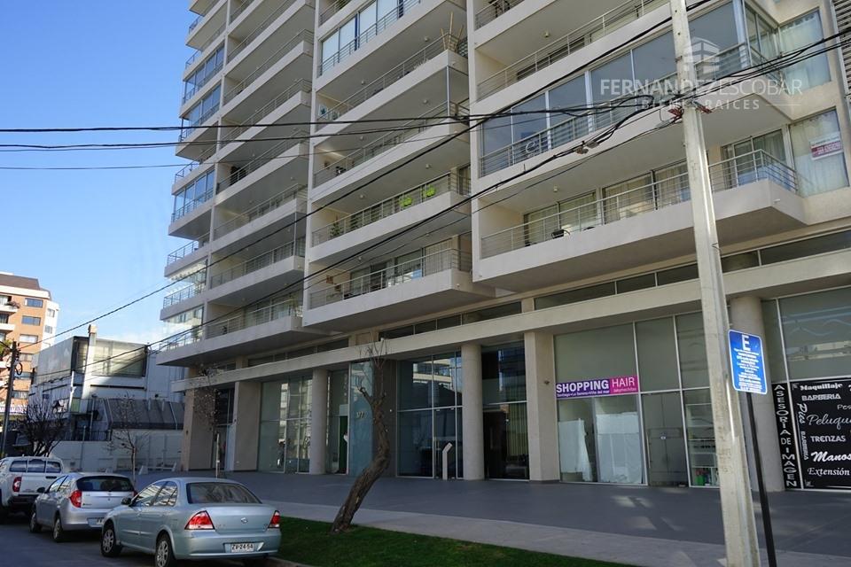 VIÑA DEL MAR - SE ARRIENDA DPTO 2D 2B MARZO A DICIEMBRE