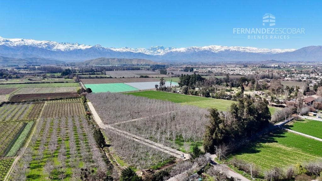 SAN FELIPE - VENDE LOTES DE 5.000m2 - CAMINO CASAS DE QUILPUE