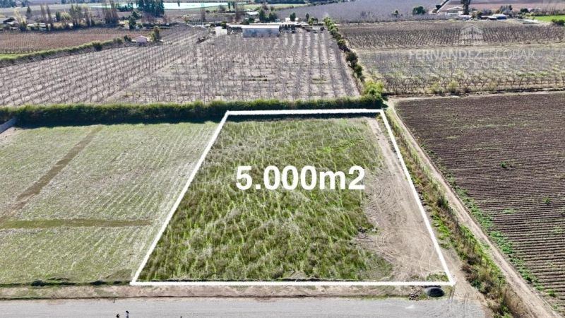 SAN ESTEBAN - VENDE TERRENO DE 5.000m2 - CALLEJÓN SAN BELISARIO