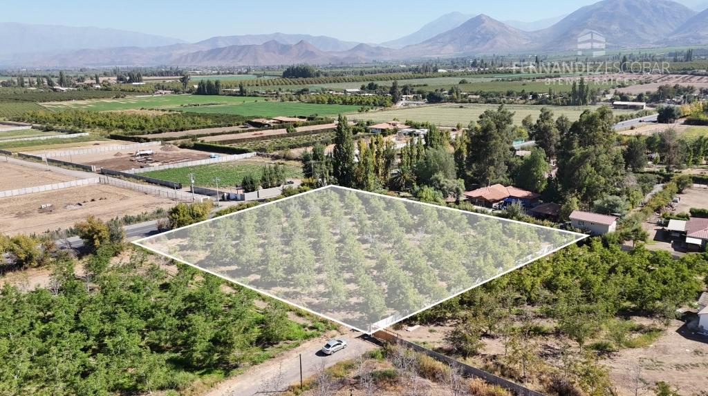 SAN ESTEBAN - VENTA TERRENO 5.000m2 COND. LOS NOGALES