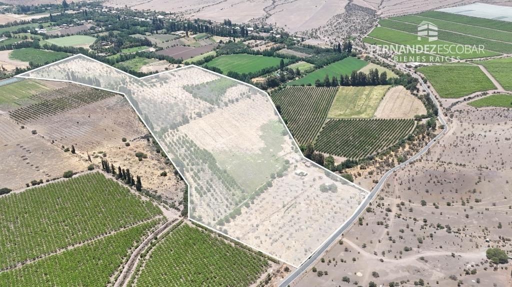 PUTAENDO - VENTA TERRENO AGRÍCOLA DE 4 HE